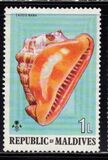 [Sea Shells and Cowries, type TK]