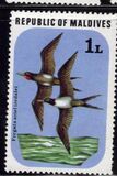 [Birds, type ZO]