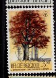 [Trees - Nature Protection Year, type ALN]