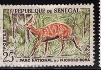 [Animals from the Niokolo-Koba National Park, Вид BY]