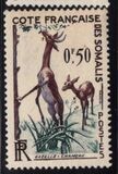 [Fauna, tyyppi CR]