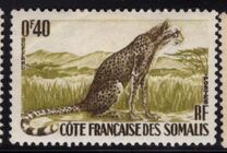 [Fauna, tyyppi CQ]
