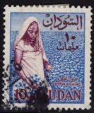 [Local Motives, Tüüp BG]