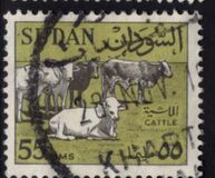 [Local Motives, Tüüp BJ]