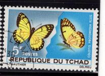 [Butterflies, tip DL]