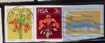 [Flora and Fauna, type NI]