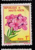[Flowers, type BA]