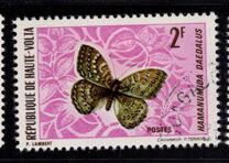 [Butterflies, type IZ]