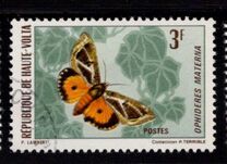 [Butterflies, type JA]