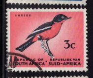 [Definitive Issue, Typ IC]