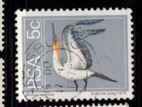 [Flora and Fauna, type NK]