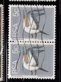 [Flora and Fauna, type NK]