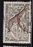 [Postage Stamps - Animals, type CN]
