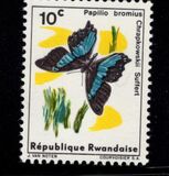 [Butterflies, tip AR]