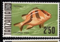 [Marine Life - Fish, प्रकार AC]
