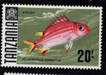 [Marine Life - Fish, प्रकार T]