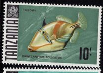 [Marine Life - Fish, प्रकार AE]
