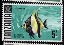[Marine Life - Fish, प्रकार AD]