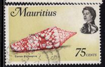 [Marine Life, タイプ FK]