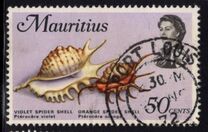 [Marine Life, タイプ FI]