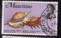 [Marine Life, タイプ FI]