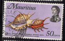 [Marine Life, タイプ FI]