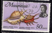 [Marine Life, タイプ FI]