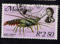[Marine Life, タイプ FM]
