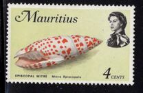 [Marine Life, タイプ EZ]