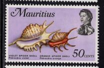 [Marine Life, タイプ FI]