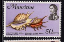 [Marine Life, タイプ FI]