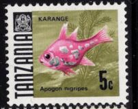 [Marine Life - Fish, प्रकार Q]