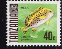 [Marine Life - Fish, प्रकार V]