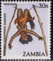 [Traditional Living, type HX]