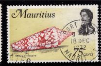 [Marine Life, タイプ FK]