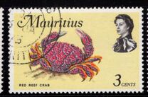 [Marine Life, տեսակ EY]