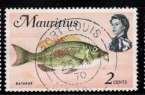 [Marine Life, տեսակ EX]