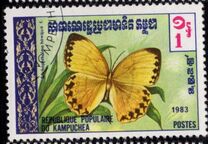 [Butterflies, प्रकार KI]