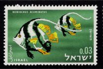 [Red Sea Fish, Tip IK]