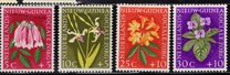 [Social Care - Flowers, Вид Q]