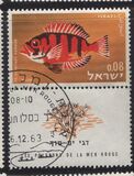 [Red Sea Fish, type JL]