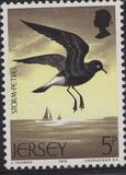 [Seabirds, тип CR]
