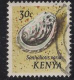 [Seashells, τύπος AN]