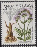 [Therapeutic Plants, type CIK]