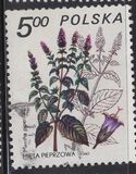 [Therapeutic Plants, type CIL]