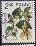 [Therapeutic Plants, type CII]