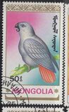 [Parrots, type BYH]
