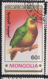 [Parrots, type BYI]