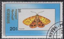 [Butterflies, Typ BYM]