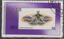 [Butterflies, Typ BYN]
